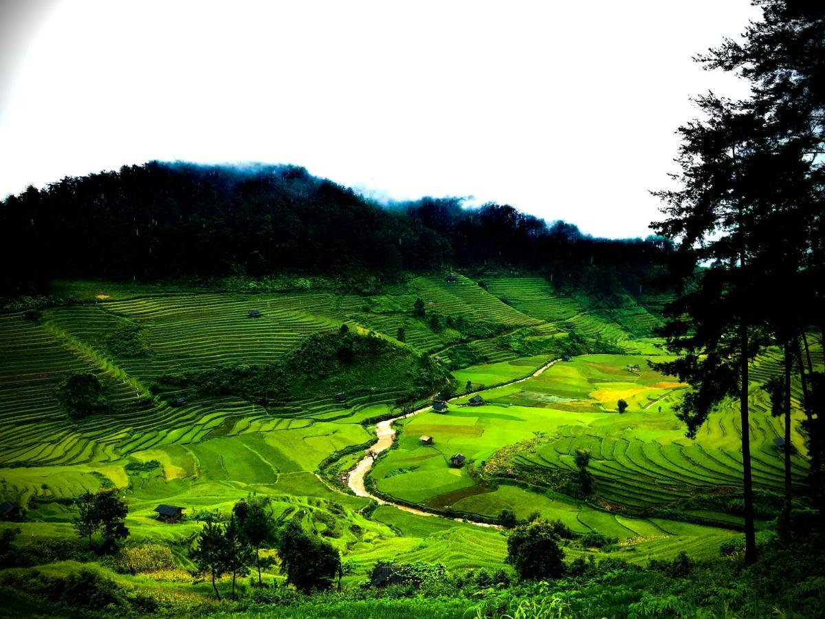 Do Gu Homestay Mu Cang Chai Exterior foto