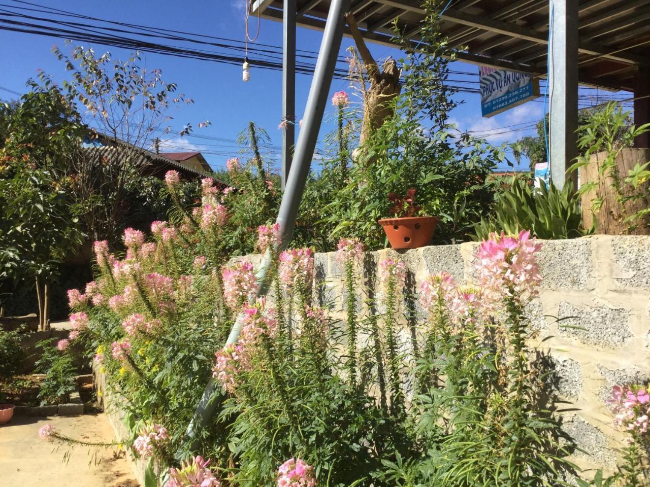 Do Gu Homestay Mu Cang Chai Exterior foto