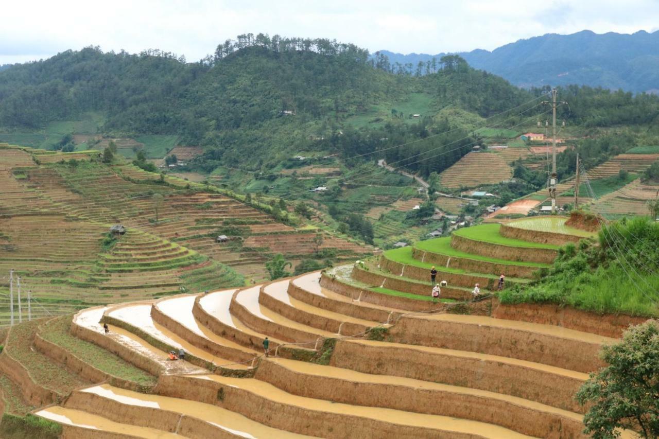 Do Gu Homestay Mu Cang Chai Exterior foto